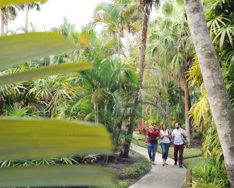 Students walking in the beautiful botanical garden, nestled in the heart of campus.